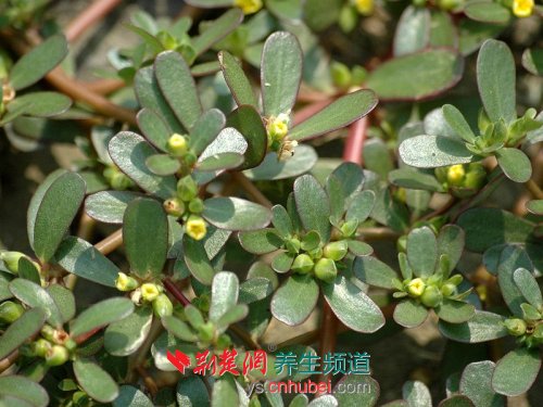 20120525222703236.jpg
