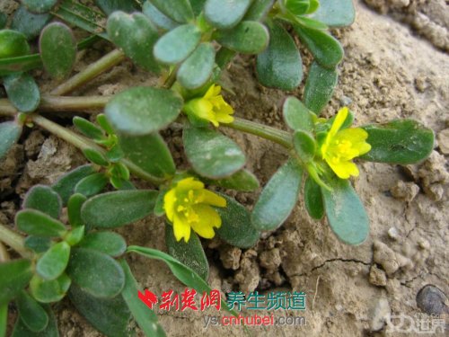 20120525222703237.jpg