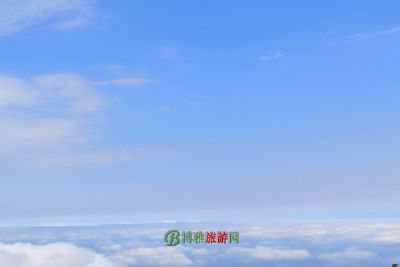 89021.gif