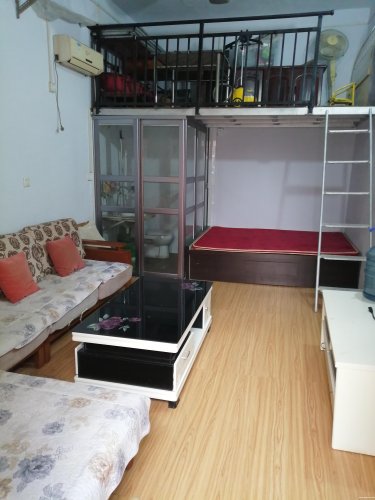 15797560036y80p.jpg