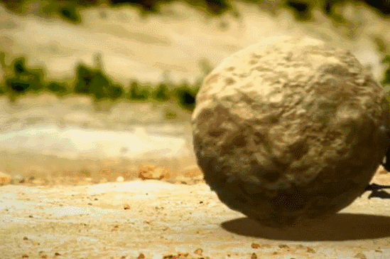 ΢ͼƬ_20220130120817.gif