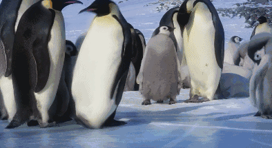 ΢ͼƬ_20220130120942.gif